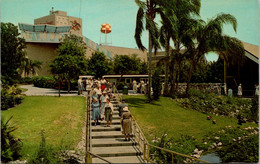 Florida Tampa Busch Gardens - Tampa