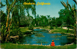 California Anaheim City Park Water Lily Pond 1971 - Anaheim