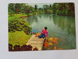 Philippines Davao Woman Stamp 1979    A 216 - Filippijnen