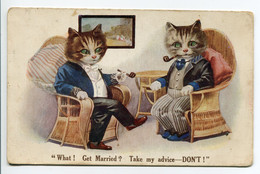 CHATS 023  Humanisés  Fumant La Pipe Au Salon  Discutant Du Mariage   What ! Get Married ? Take My Advice Don't - Gatos