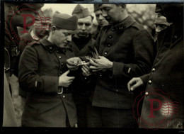WW2  TUBE POSTE COLOMBOPHILE PIGEONS PIGEON PALOMA 12*9cm WW2 LE PETIT PARISIEN EXCELSIOR LE MIROIR - War, Military
