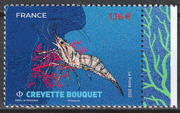 2022 - Y/T 5561 "CREVETTE BOUQUET - COQUILLAGES ET CRUSTACES" - 1 TIMBRE BDF ISSU FEUILLET - NEUF ** - Unused Stamps