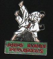 73613- Pin's -Judo Kwai.Pégomas. - Judo