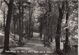 CARTOLINA  VALLOMBROSA M.1000,FIRENZE,TOSCANA,VIALE PER IL SALTINO,BELLA ITALIA,STORIA,CULTURA,MEMORIA,VIAGGIATA 1969 - Empoli