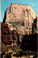 Utah Zion National Park The Great White Throne - Zion