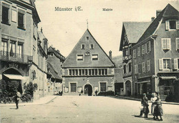 Munster * La Place De L'hôtel De Ville * La Mairie * Commerce DIETZ - Munster