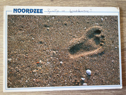 Nederland. Noordzee. Waddenzee - Otros & Sin Clasificación