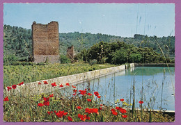 COTIGNAC - La Vieille Tour Et Le Bassin - Cotignac