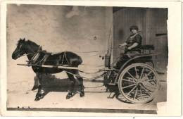 Photo Carte Superbe Attelage Cariole Cabriolet  Petit Cheval Ecrite 1925 TTBE - Equipaggiamenti