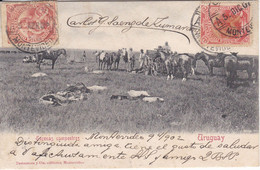 POSTAL DE ESCENAS CAMPESTRES DEL AÑO 1902 (TESTASECCA) URUGUAY - Uruguay