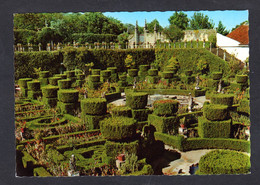 Portugal - CASTELO BRANCO - Jardim Do Paco - Superbe Jardin De L'Evêché (n° 263/Pr.) - Castelo Branco