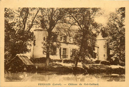 Ferolles * Le Château Du Gué Gaillard * Petit Lavoir - Other & Unclassified