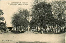 Ferrières En Gatinais * Les Promenades Et La Route De Griselles - Autres & Non Classés