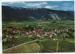 RANCES Et Le Jura - Rances