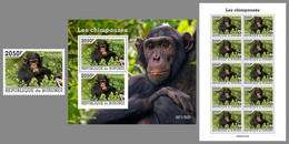 BURUNDI 2022 MNH Chimpanzees Schimpansen Chimpanzes SET - OFFICIAL ISSUE - DHQ2209 - Chimpanzés