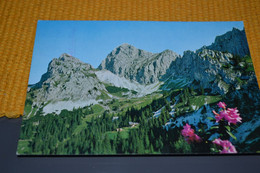 Cartes Postales D'Autriche - Tannheim