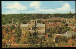 Winchester Cathedral From St Giles's Hill Salmon - Winchester