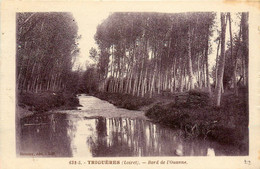 Triguères * Bords De L'ouanne * Un Coin Du Village - Sonstige & Ohne Zuordnung