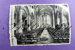 Zepperen Kerk St-Truiden.  St. Genoveva  Binnenzicht - Sint-Truiden