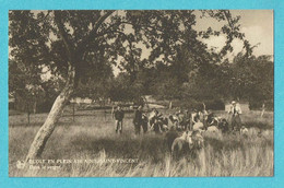 * Nil Saint Vincent (Walhain - Brabant Wallon) * (Nels - Photo J. Van Ghele) école En Plein Air, Dans Le Verger, Mouton - Walhain