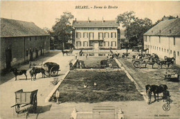 Briare * La Ferme De La Rivotte * Scène Agricole Agriculture - Briare