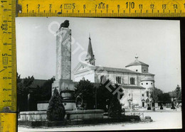 Vicenza Noventa Vicentina Monumento Ai Caduti E Duomo  (fotografia) - Vicenza