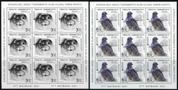 Türkiye 2021 Mi 4642-4643 MNH Europa, Endangered Species: Mediterranean Monk Seal, Montagu's Harrier, CEPT [KB] - Ungebraucht