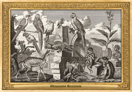 M075 Zoo - Menagerie Belvedere, AT - Salomon Kleiner, 1734 - Chital, Monkey, Cockatoo, Macaw, Parrot - Belvedere