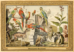 M076 Zoo Menagerie Belvedere, AT - Salomon Kleiner, 1734 - Chital, Monkey, Cockatoo, Macaw, Parrot - Belvedere