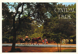 New York - Central Park - Promenade En Calèche - Central Park