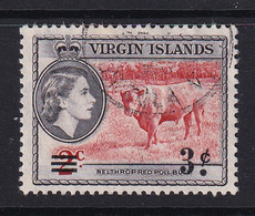 British Virgin Is: 1962   QE II - Pictorial - Surcharge  SG164   3c On 2c    Used - British Virgin Islands