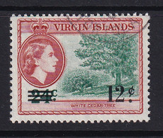 British Virgin Is: 1962   QE II - Pictorial - Surcharge  SG169   12c On 24c    Used - British Virgin Islands