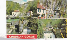 Cheddar Gorge Multiview - Used Postcard - Somerset - Stamped 1984 - Cheddar