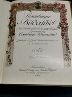 Livre, Luxemburger Bilderfibel 1911. Excellent état. Druck Charles Beffort - Other