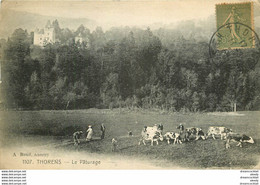 74 THORENS. Toupeau De Vaches Au Pâturage 1920 - Thorens-Glières