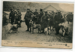 MILITARIA Guerre 1914-15 Départ De Chiens Ambulanciers Pour Le Front Militaires Croix Rouge  écrite Fév 1916   D05 2022 - War 1914-18