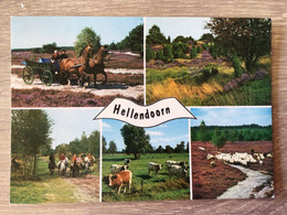 Nederland Hellendoorn - Hellendoorn