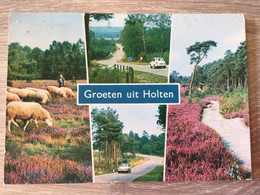 Nederland. Pays-Bas. Holland. Groeten Uit Holten. - Holten