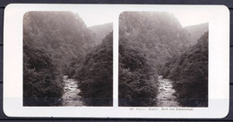 ORIGINAL STEREO PHOTO GERMANY - HARZ - ILSENBURG - BODETAL - BLICK VOM KRONENTEMPEL - SELTEN ! SACHSEN ANHALT - Ancianas (antes De 1900)