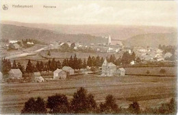 HERBEUMONT - Panorama - Nels, Série Herbeumont, N° 9 - Herbeumont