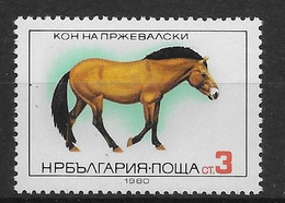 Thème Chevaux - Hippisme - Cheval - Bulgarie - Timbres Neufs ** Sans Charnière - TB - Horses