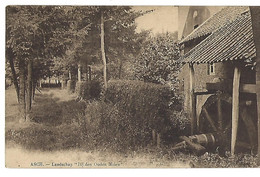 Asch - Landschap "Bij Den Ouden Molen" - As