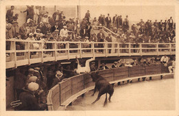 22-1103 :  LA CAMARGUE. LES SAINTES-MARIES-DE-LA-MER. LES ARENES - Saintes Maries De La Mer