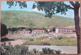 ISRAEL KIBBUTZ HOTEL GALILEE SEA TIBERIAS REST GUEST HOUSE GANEI HAMATH CARTE POSTALE POSTCARD CARTOLINA ANSICHTSKARTE - New Year