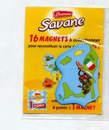Magnet Savane  Europe Italie - Turismo