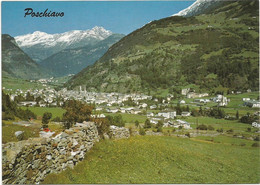 AB2002 Poschiavo - Panorama Verso Passo Bernina / Non Viaggiata - Poschiavo