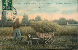 En Sologne N°1201 ( Loiret ) * Voiture à Chien , La Rentrée Des Foins * Attelage à Chiens * 1907 - Autres & Non Classés