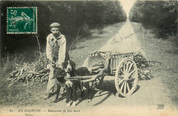 En Sologne N°60 ( Loiret ) * Le Ramasseur De Bois Mort * Voiture à Chien , Attelage à Chiens - Autres & Non Classés