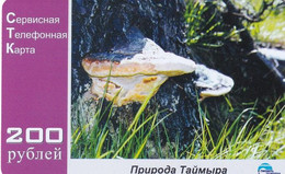 RUSSIA-NORLISK - Taimyr Mushrooms, Sibir Telecom Prepaid Card 200 Rbl, Used - Rusia