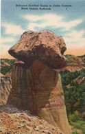 BALANCED PETRIFIED STUMP IN CEDAR CANYON - NORTH DAKOTA BADLANDS - Altri & Non Classificati